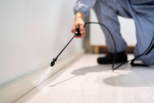 Bed Bug Pre-Treatment Preparation Assessment in Hydro