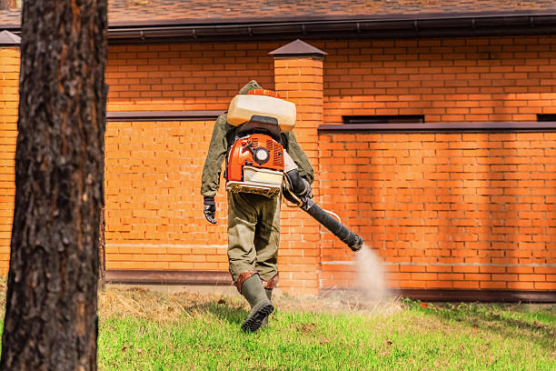 Bed Bug Clearance Verification and Documentation in Hydro
